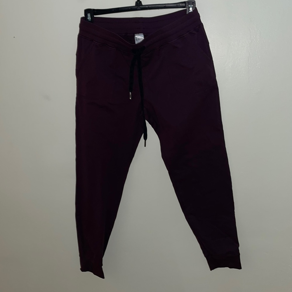 Zyia Large Plum Unwind Active Jogger Pants